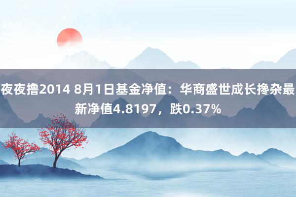 夜夜撸2014 8月1日基金净值：华商盛世成长搀杂最新净值4.8197，跌0.37%