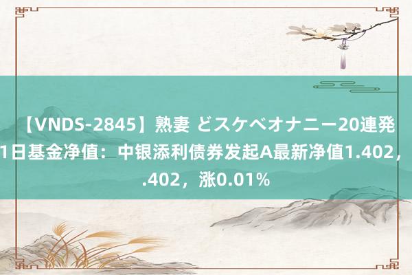 【VNDS-2845】熟妻 どスケベオナニー20連発！！ 8月1日基金净值：中银添利债券发起A最新净值1.402，涨0.01%