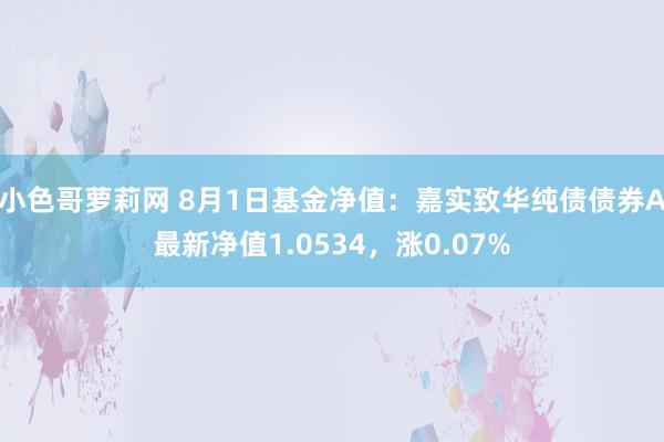 小色哥萝莉网 8月1日基金净值：嘉实致华纯债债券A最新净值1.0534，涨0.07%