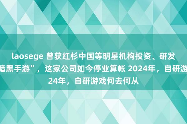 laosege 曾获红杉中国等明星机构投资、研发“腾讯首款暗黑手游”，这家公司如今停业算帐 2024年，自研游戏何去何从