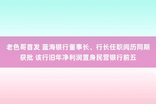 老色哥首发 蓝海银行董事长、行长任职阅历同期获批 该行旧年净利润置身民营银行前五