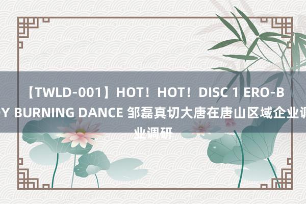 【TWLD-001】HOT！HOT！DISC 1 ERO-BODY BURNING DANCE 邹磊真切大唐在唐山区域企业调研