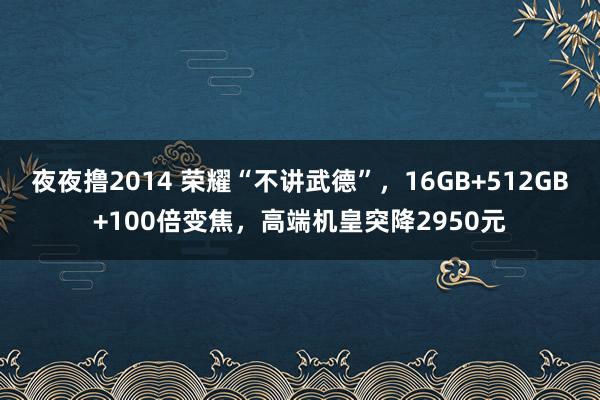 夜夜撸2014 荣耀“不讲武德”，16GB+512GB+100倍变焦，高端机皇突降2950元