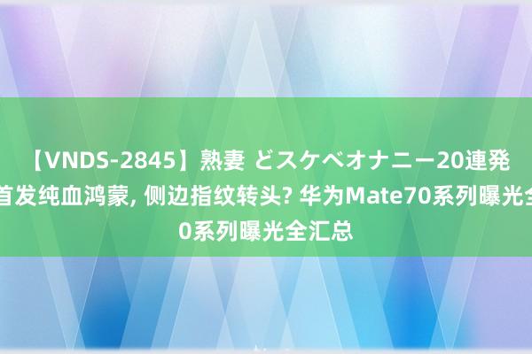 【VNDS-2845】熟妻 どスケベオナニー20連発！！ 首发纯血鸿蒙， 侧边指纹转头? 华为Mate70系列曝光全汇总