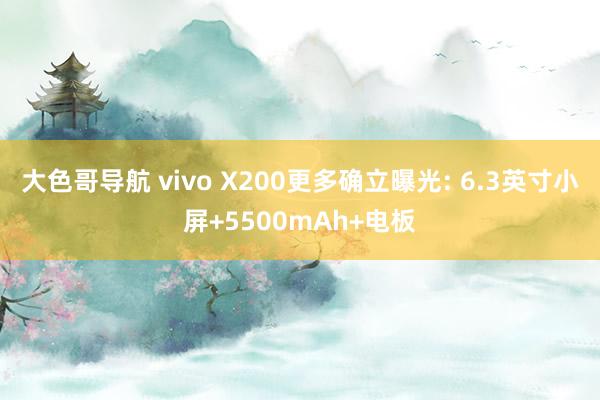 大色哥导航 vivo X200更多确立曝光: 6.3英寸小屏+5500mAh+电板