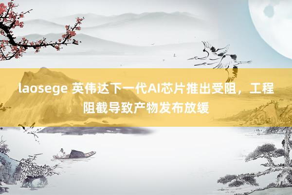 laosege 英伟达下一代AI芯片推出受阻，工程阻截导致产物发布放缓