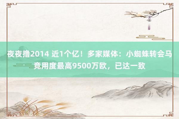 夜夜撸2014 近1个亿！多家媒体：小蜘蛛转会马竞用度最高9500万欧，已达一致