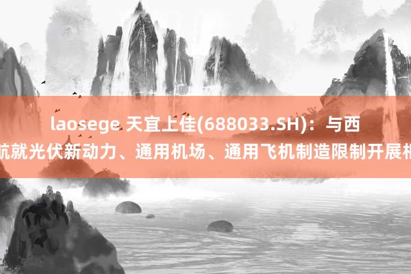 laosege 天宜上佳(688033.SH)：与西通航就光伏新动力、通用机场、通用飞机制造限制开展相助