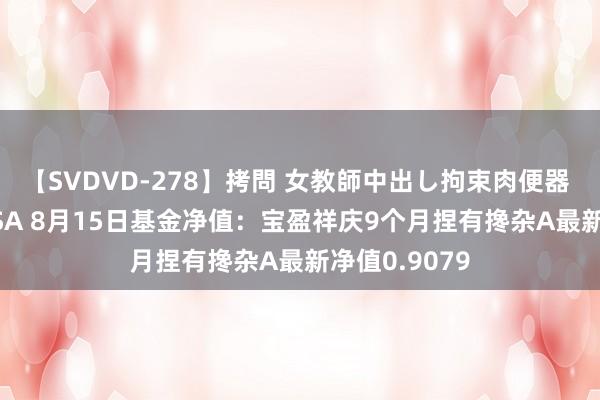 【SVDVD-278】拷問 女教師中出し拘束肉便器 仁科百華 RISA 8月15日基金净值：宝盈祥庆9个月捏有搀杂A最新净值0.9079