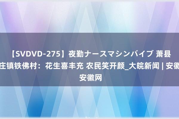 【SVDVD-275】夜勤ナースマシンバイブ 萧县新庄镇铁佛村：花生喜丰充 农民笑开颜_大皖新闻 | 安徽网