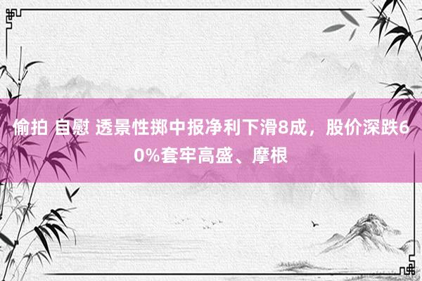 偷拍 自慰 透景性掷中报净利下滑8成，股价深跌60%套牢高盛、摩根