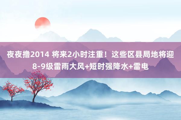 夜夜撸2014 将来2小时注重！这些区县局地将迎8-9级雷雨大风+短时强降水+雷电