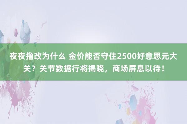 夜夜撸改为什么 金价能否守住2500好意思元大关？关节数据行将揭晓，商场屏息以待！